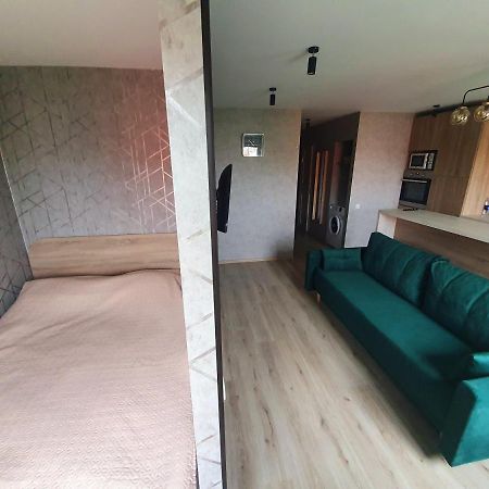 Dzintaru Apartaments 利耶帕亚 外观 照片